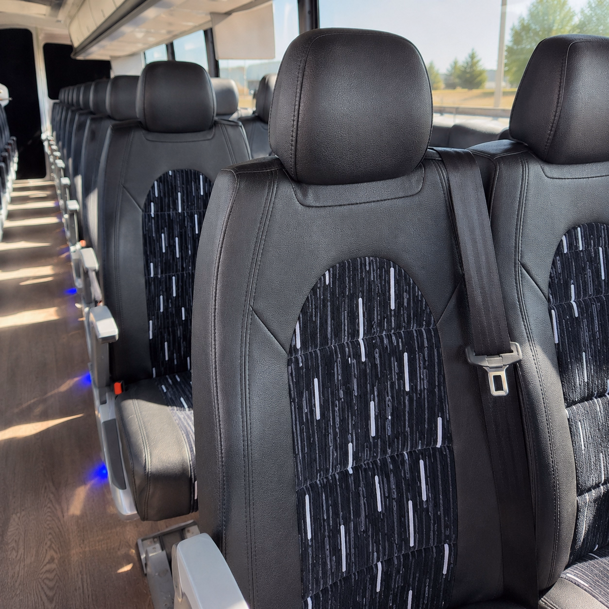 bellevue family reunion and vacation bus rentals